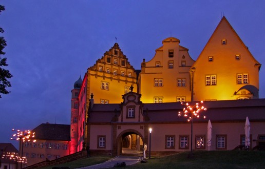 Stiftung Internationale Musikschulakademie Kulturzentrum Schloss Kapfenburg,&nbsp;Lauchheim&nbsp;